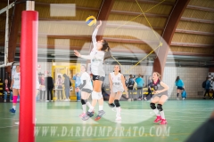 www.darioimparato.com - torneo pallavolo web-162