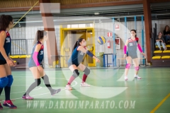 www.darioimparato.com - torneo pallavolo web-177