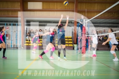 www.darioimparato.com - torneo pallavolo web-179