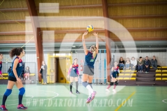 www.darioimparato.com - torneo pallavolo web-184