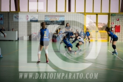 www.darioimparato.com - torneo pallavolo web-445